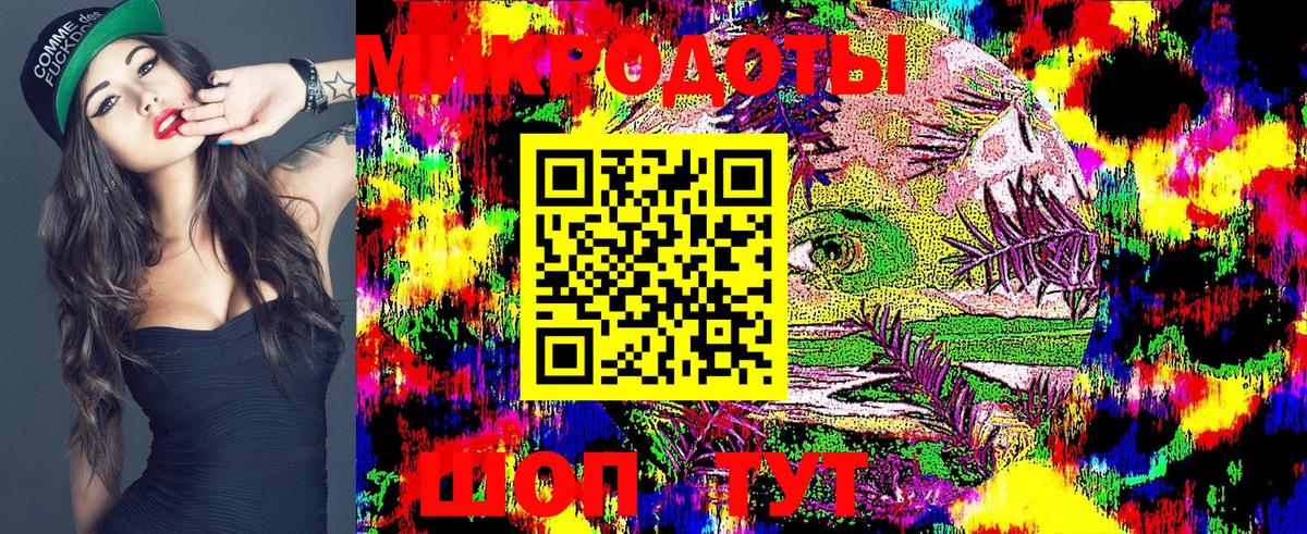 Галлюциногенные грибы Psilocybine cubensis Кимры